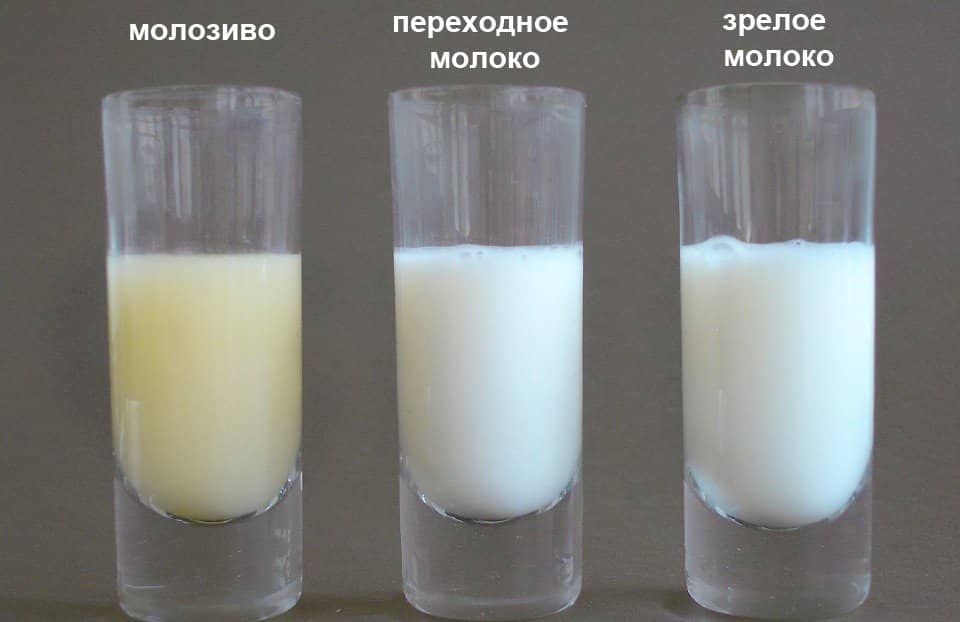 Коли приходить молоко після пологів, можливі проблеми