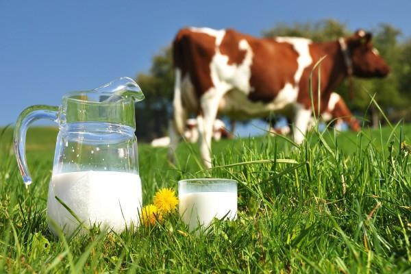 Коровяче молоко замість суміші: чи можна давати немовлятам, що краще