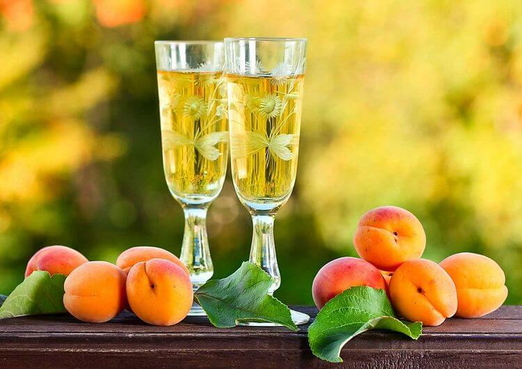 Вино з абрикосів в домашніх умовах: як зробити, рецепт