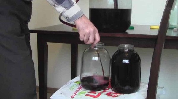Вино з винограду в домашніх умовах: рецепт приготування