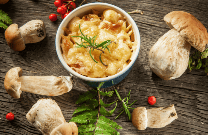 Жульєн з грибами і куркою – 7 рецептів