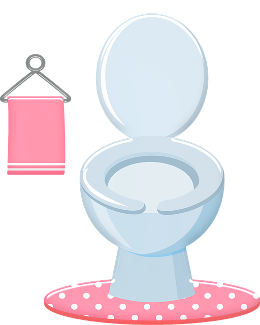 15 методів: як прочистити унітаз від засмічення в домашніх умовах, як усунути засмічення в унітазі