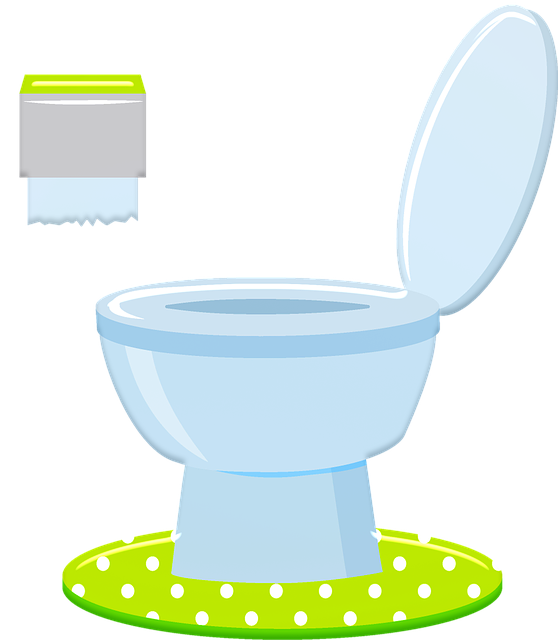 15 методів: як прочистити унітаз від засмічення в домашніх умовах, як усунути засмічення в унітазі