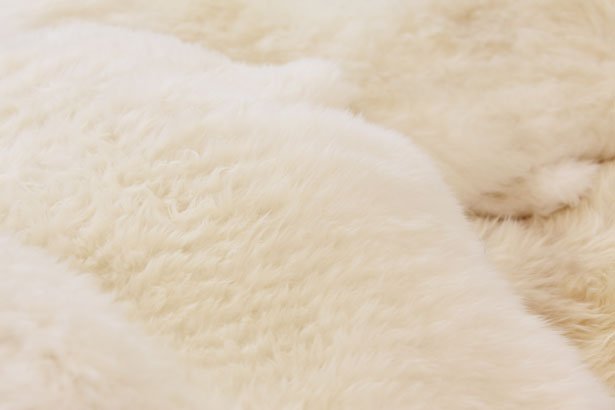 7 засобів: як почистити в домашніх умовах овчину   білий кожух з овчини, шкуру, чохли