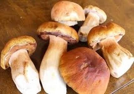 Білі гриби мариновані на зиму: рецепти приготування з фото, відео