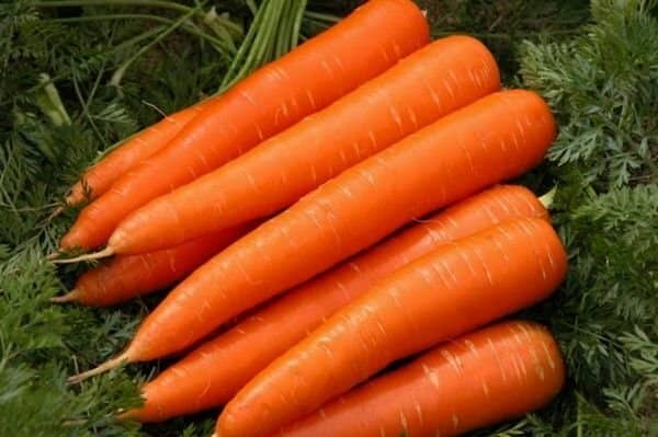 Сік з гарбуза на зиму   рецепти пальчики оближеш: з апельсином, через мясорубку, з морквою, з яблуками (фото)
