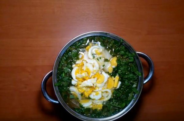 Зелений борщ зі щавлем і яйцем — 6 класичних рецептів