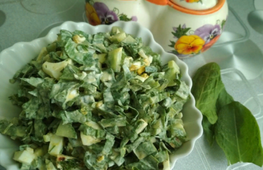 Салат зі свіжого щавлю — 12 простих рецептів
