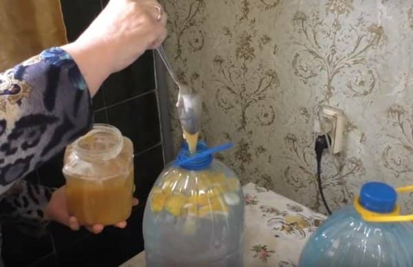 Як зробити квас з березового соку з родзинками в домашніх умовах