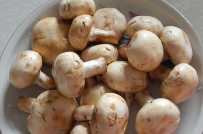 Грибна ікра з варених грибів: найсмачніший рецепт з фото