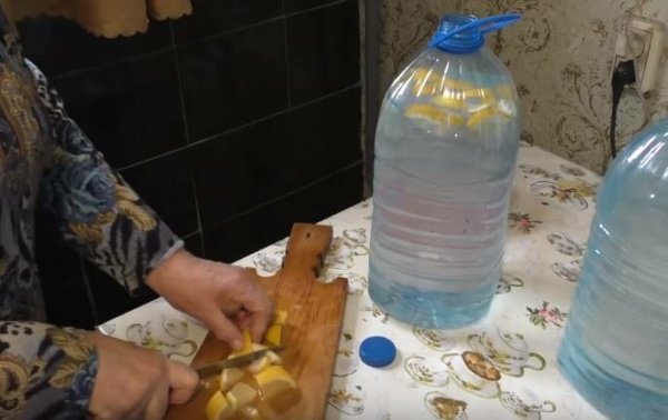 Як зробити квас з березового соку з родзинками в домашніх умовах