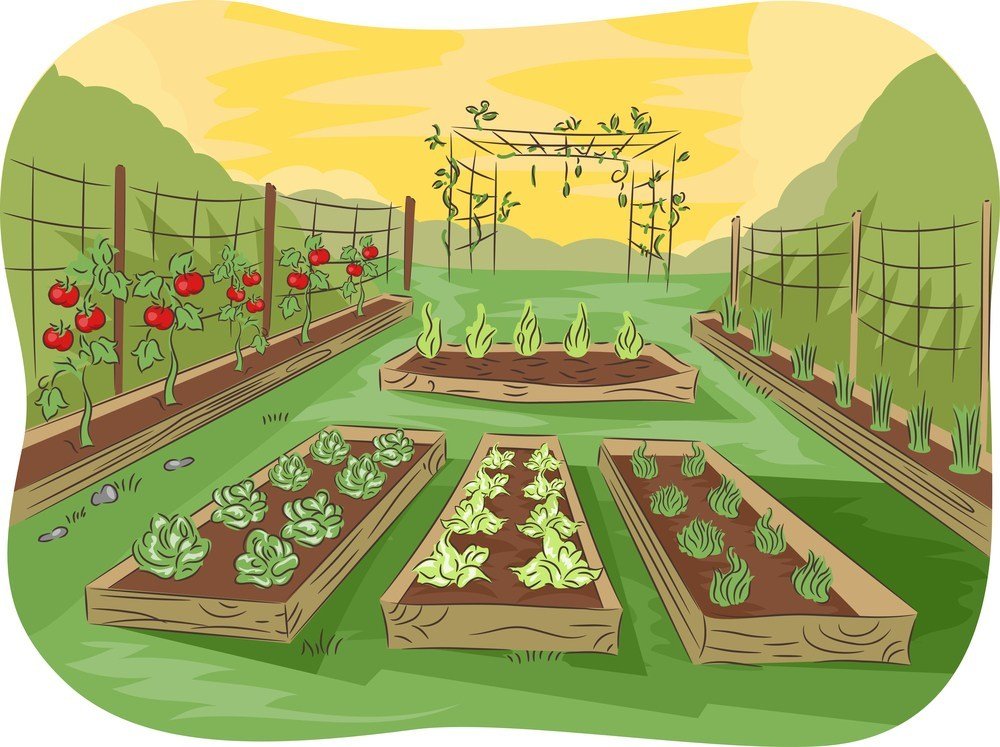 Посів насіння в березні 2020 томатів, капусти, перцю, огірки, цибулю, баклажан, часник, кабачки, редис, гарбуза