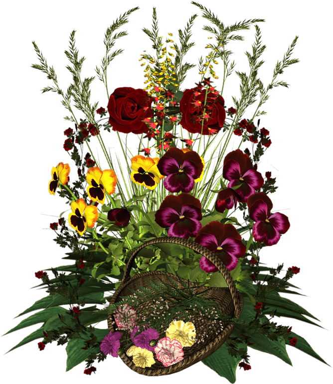 Посадка квітів у січні 2020 коли садити в грунт квіти, теплицю, догляд за квітами, пересадка, терміни