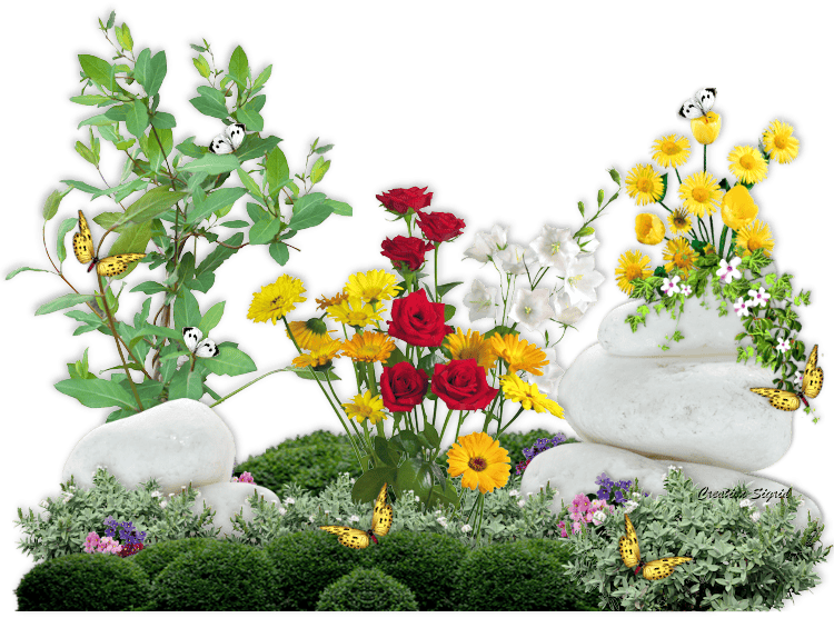 Посадка квітів у червні 2020 коли садити в грунт квіти, теплицю, догляд за квітами, пересадка, терміни