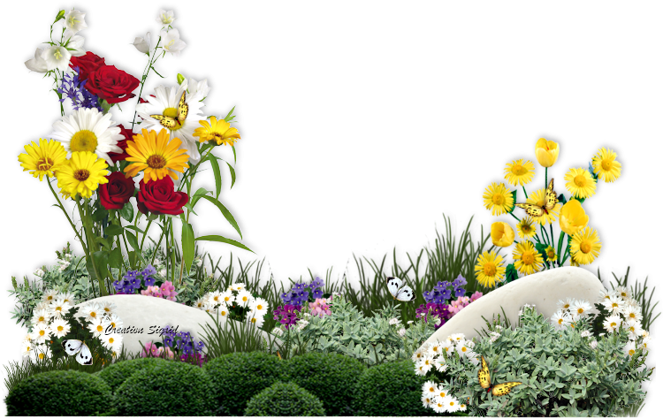 Посадка квітів у травні 2020 коли садити в грунт квіти, теплицю, догляд за квітами, пересадка, терміни