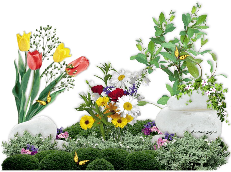 Посадка квітів у березні 2020 коли садити в грунт квіти, теплицю, догляд за квітами, пересадка, терміни