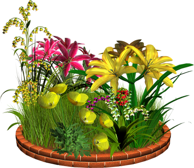 Посадка квітів у квітні 2020 коли садити в грунт квіти, теплицю, догляд за квітами, пересадка, терміни
