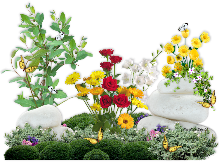 Посадка квітів у жовтні 2020 коли садити в грунт квіти, теплицю, догляд за квітами, пересадка, терміни