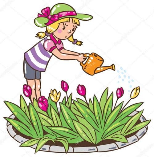Посадка квітів у травні 2020 коли садити в грунт квіти, теплицю, догляд за квітами, пересадка, терміни