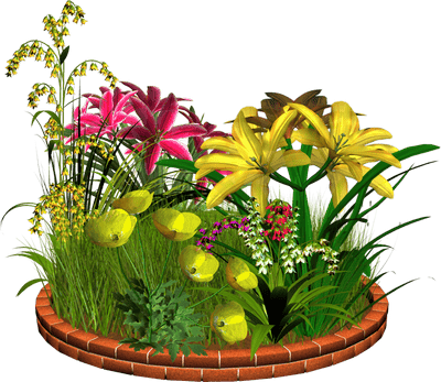 Посадка квітів у січні 2020 коли садити в грунт квіти, теплицю, догляд за квітами, пересадка, терміни