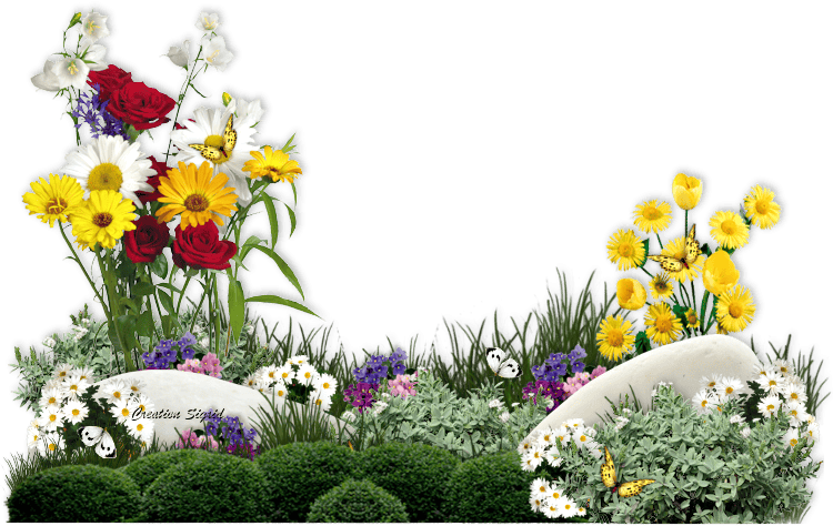 Посадка квітів у квітні 2020 коли садити в грунт квіти, теплицю, догляд за квітами, пересадка, терміни