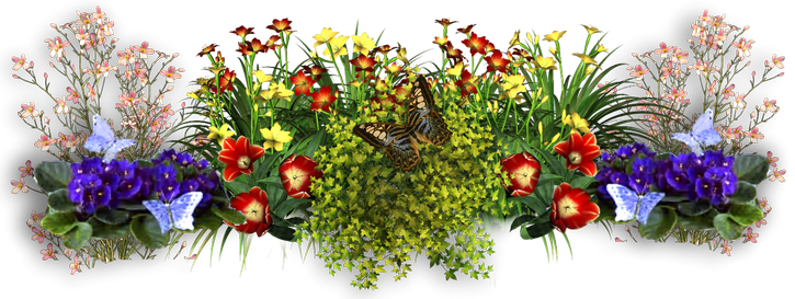 Посів насіння квітів у квітні 2020 сіяти насіння на розсаду в грунт, місячний календар, терміни, таблиця
