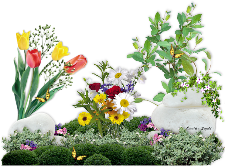 Посів насіння квітів у квітні 2020 сіяти насіння на розсаду в грунт, місячний календар, терміни, таблиця