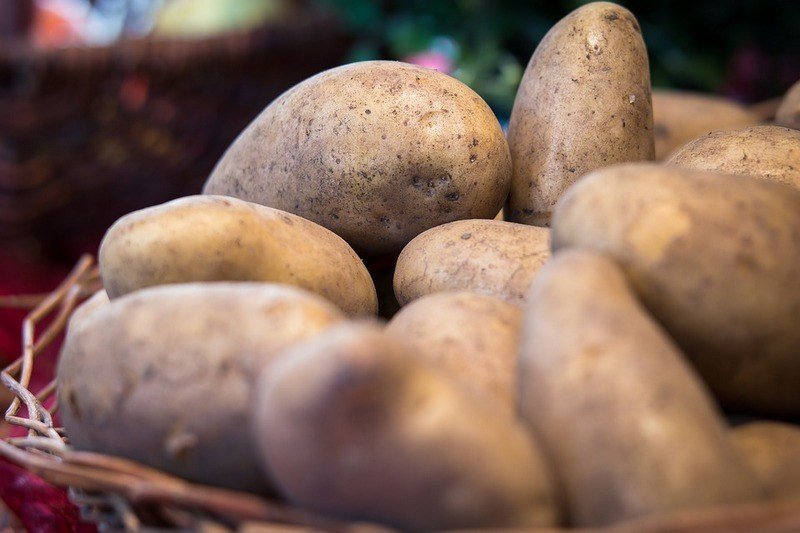 Скільки в цебрі кілограм картоплі?