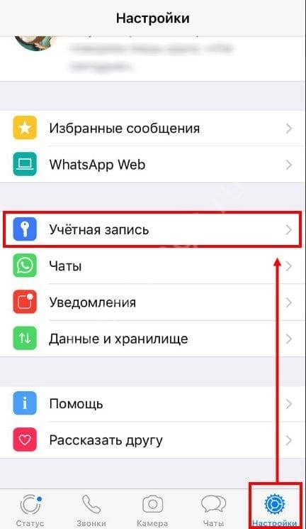 Як заблокувати контакт в Ватсапе: всі доступні способи для Айфона і Андроїда