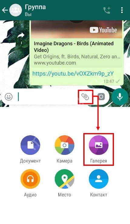 Як відправити довге відео в Whatsapp: прості способи