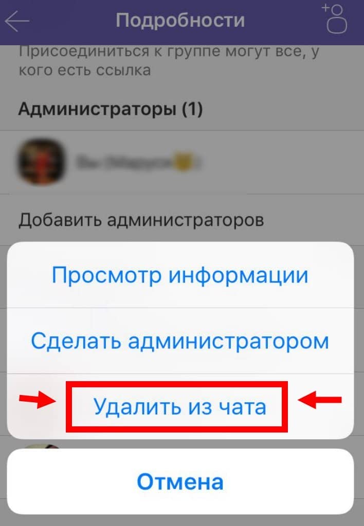 Як видалити людину (учасника) із групи в Viber?