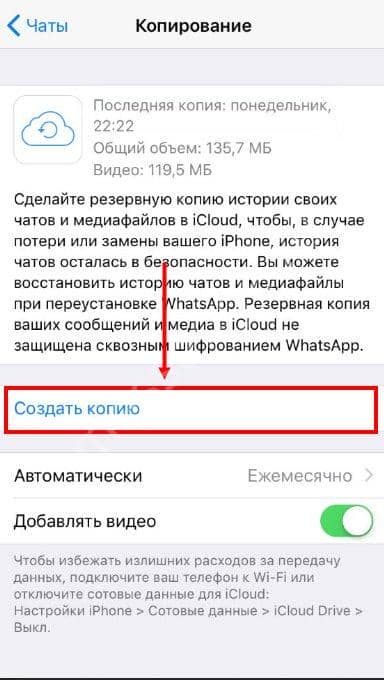 Резервна копія WhatsApp в iCloud: як зробити, відновити і зберегти