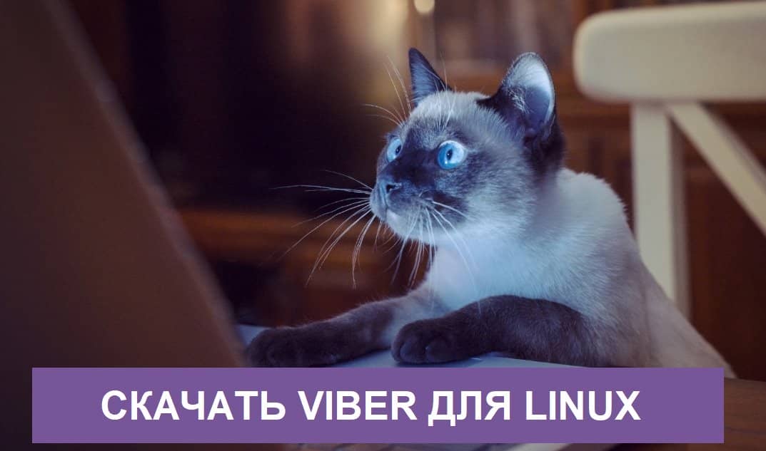Завантажити Viber для Linux